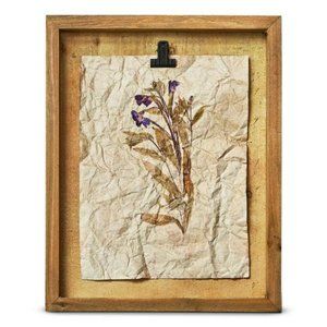 Herbarium Wildflower Shadow Box Wall Art- Plum